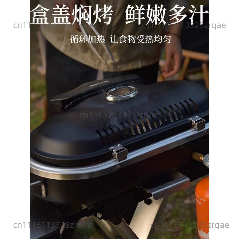 Estufa de Gas Portátil para In - Outdoor Camping Griddle reseña y precio